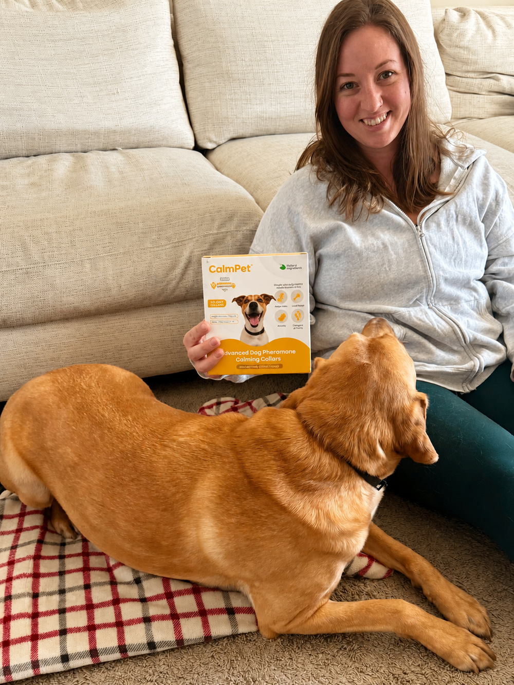 <p><strong>What Dog Parents Are Saying</strong></p>